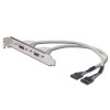 Планка USB 2 x USB 2.0 Slot Bracket за компютър 2x5pin 25cm
