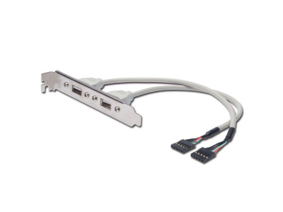 Планка USB 2 x USB 2.0 Slot Bracket за компютър 2x5pin 25cm